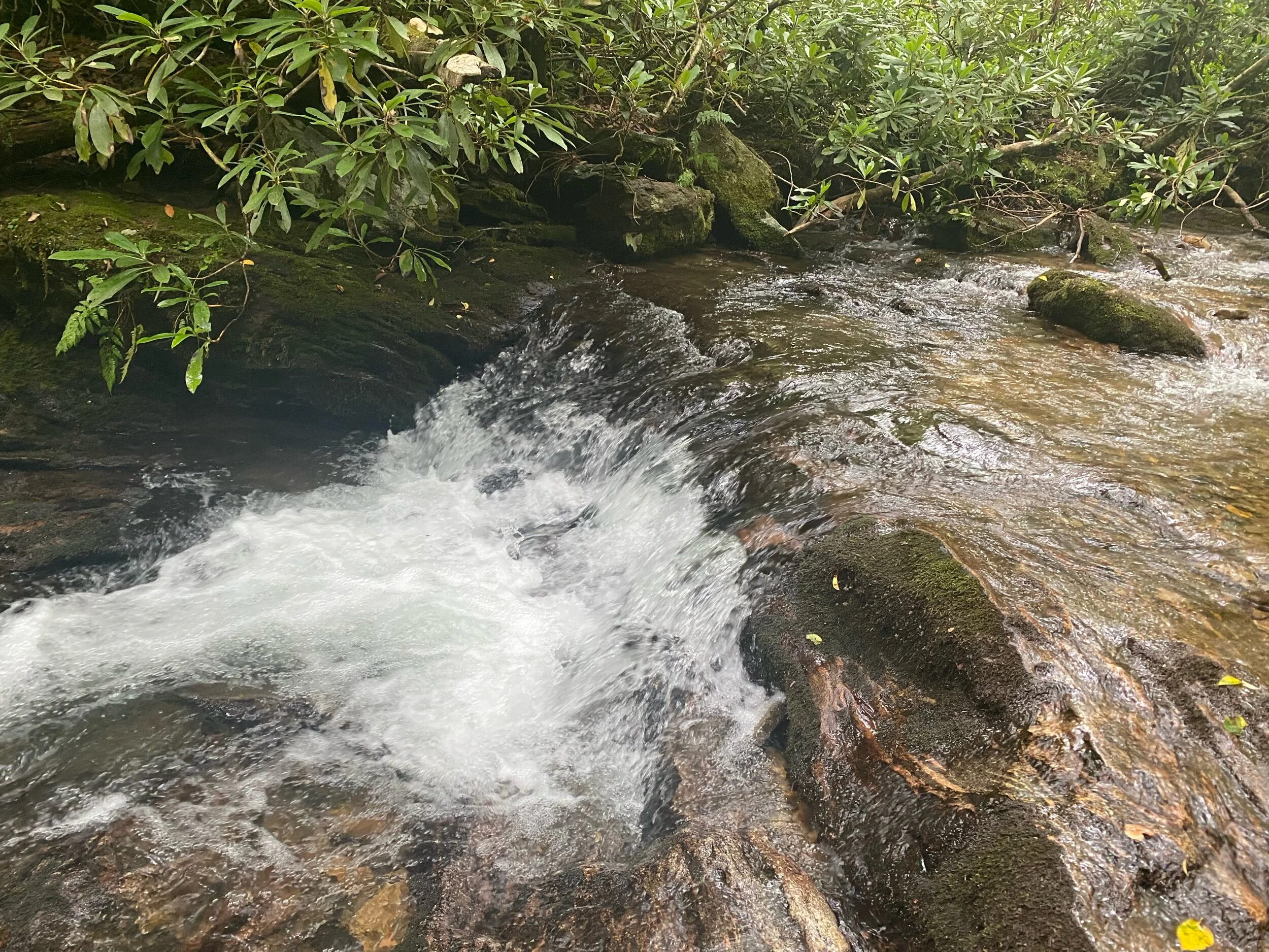 One of the main small cascades on the Kimsey Creek Trail