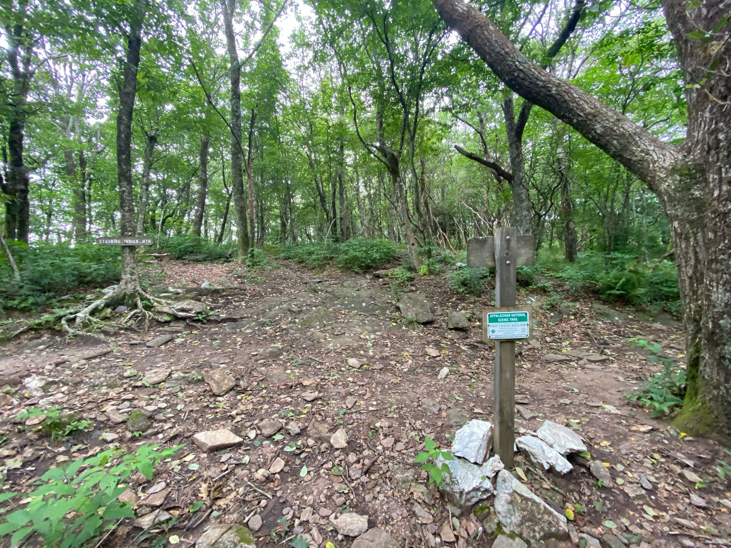 Junction with the AT