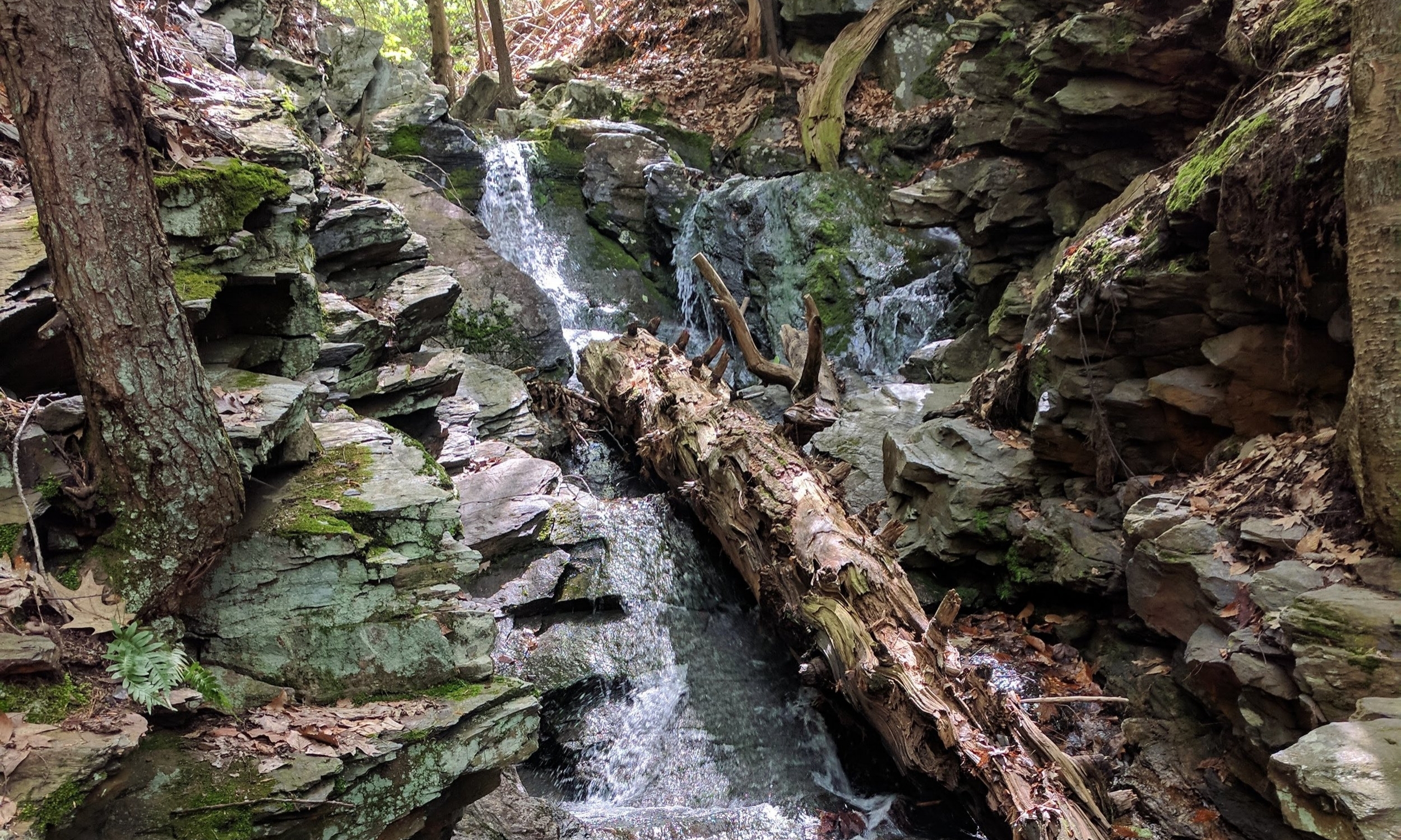 IMG_20180513_105828.jpg