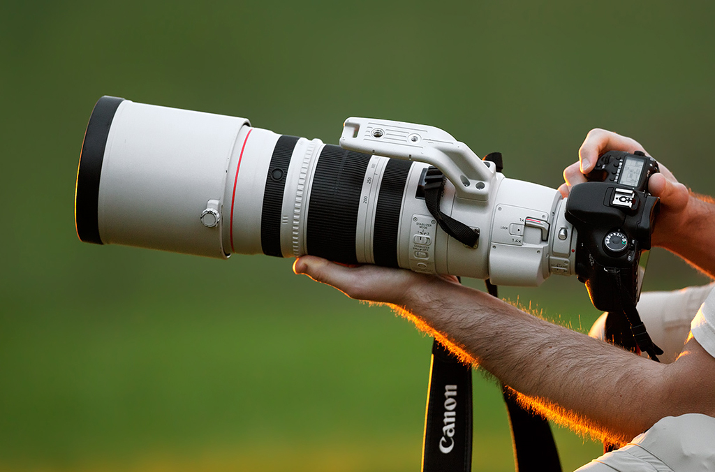 canon_200-400_1-4x_intro_juza2e.jpg