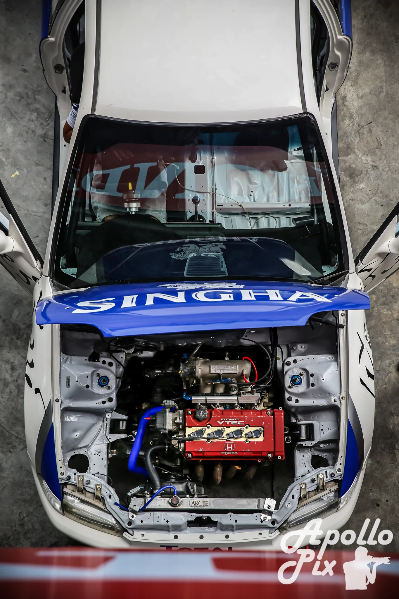 pitbybig (97).jpg