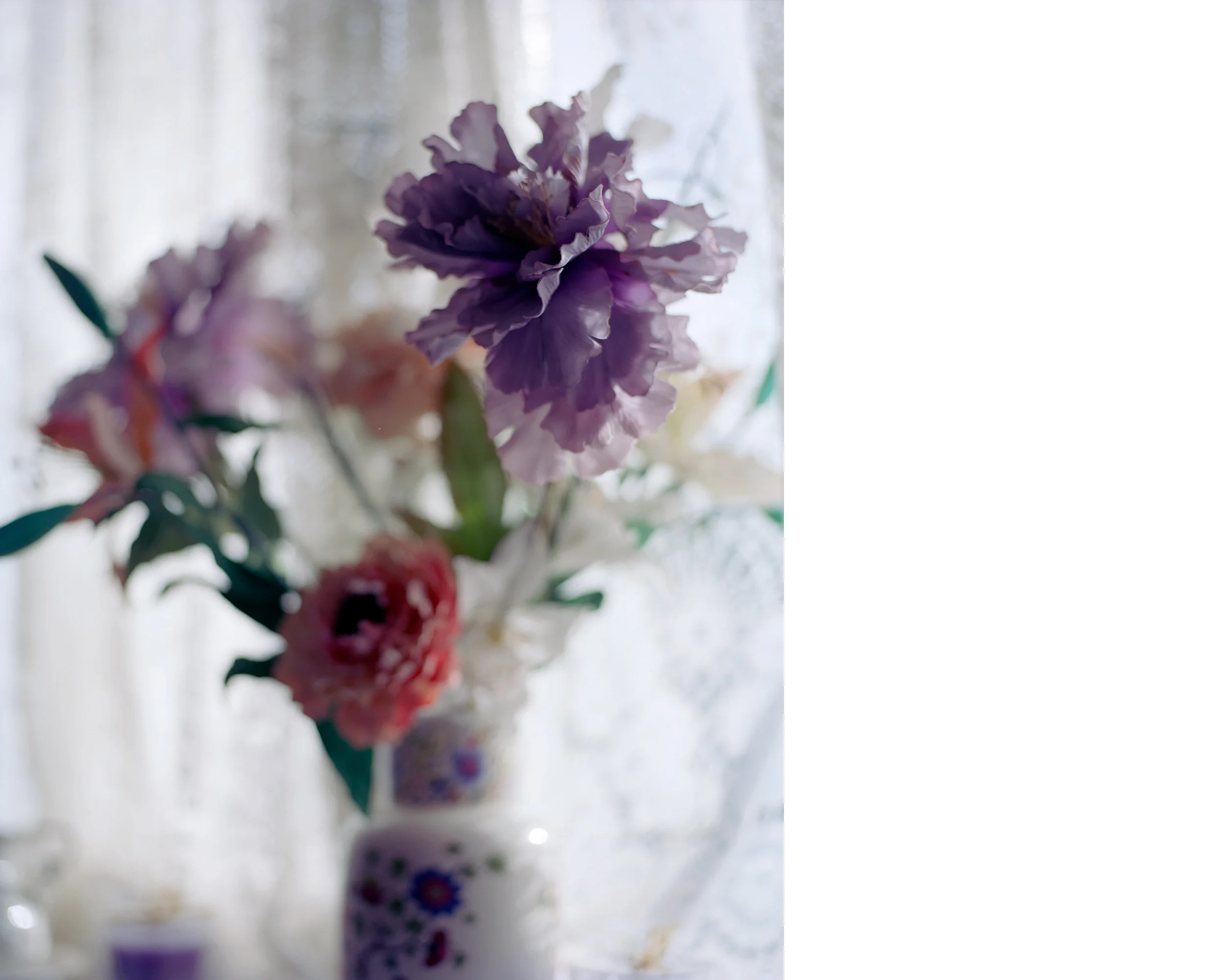 I Was Born an English Catholic, Flowers Are for Planting (photographs from my nan’s house) #6 (2003)