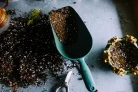 Mud garden soil
