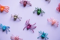 Colourful spider toys