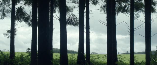 LHR gif 05.gif