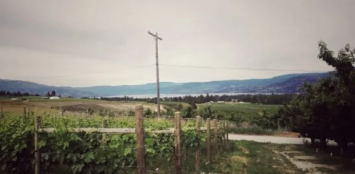 A smoky day overlooking the lake from The View's Estate Vineyard, June 2017