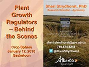 presentation-2016-Sheri-Strydhorst.jpg