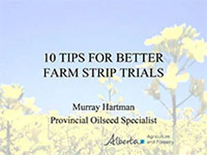 presentation-2016-murray-hartman.jpg