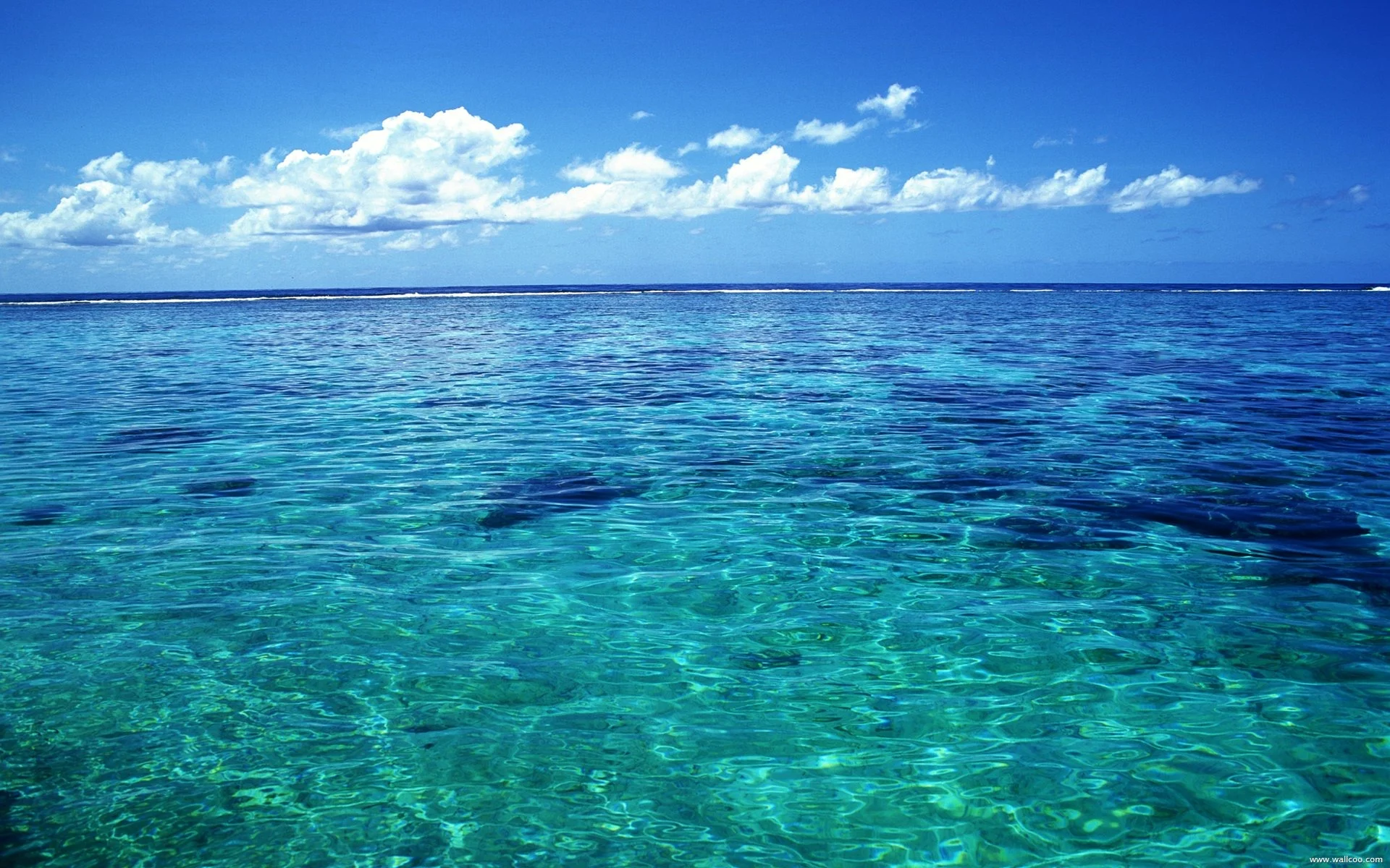 Tahiti_crystal_clear_sea_water_wallpaper_1920x1200.jpg