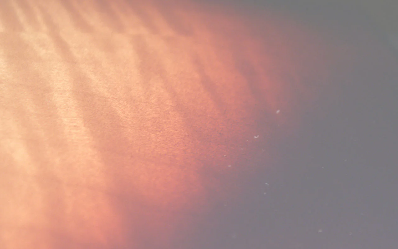 zach_homepage_bg.jpg
