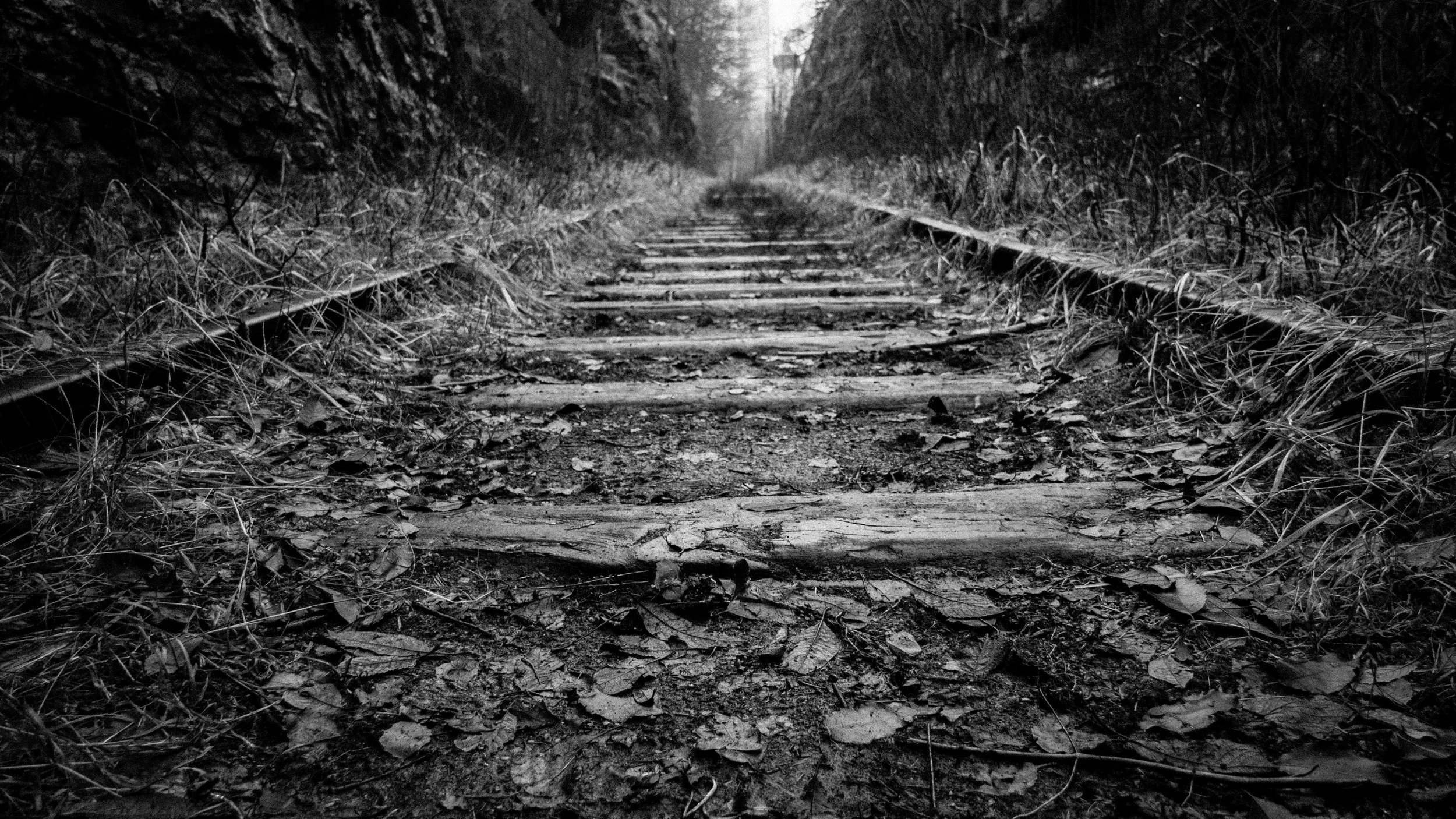 black-and-white-perspective-railroad-285286.jpg