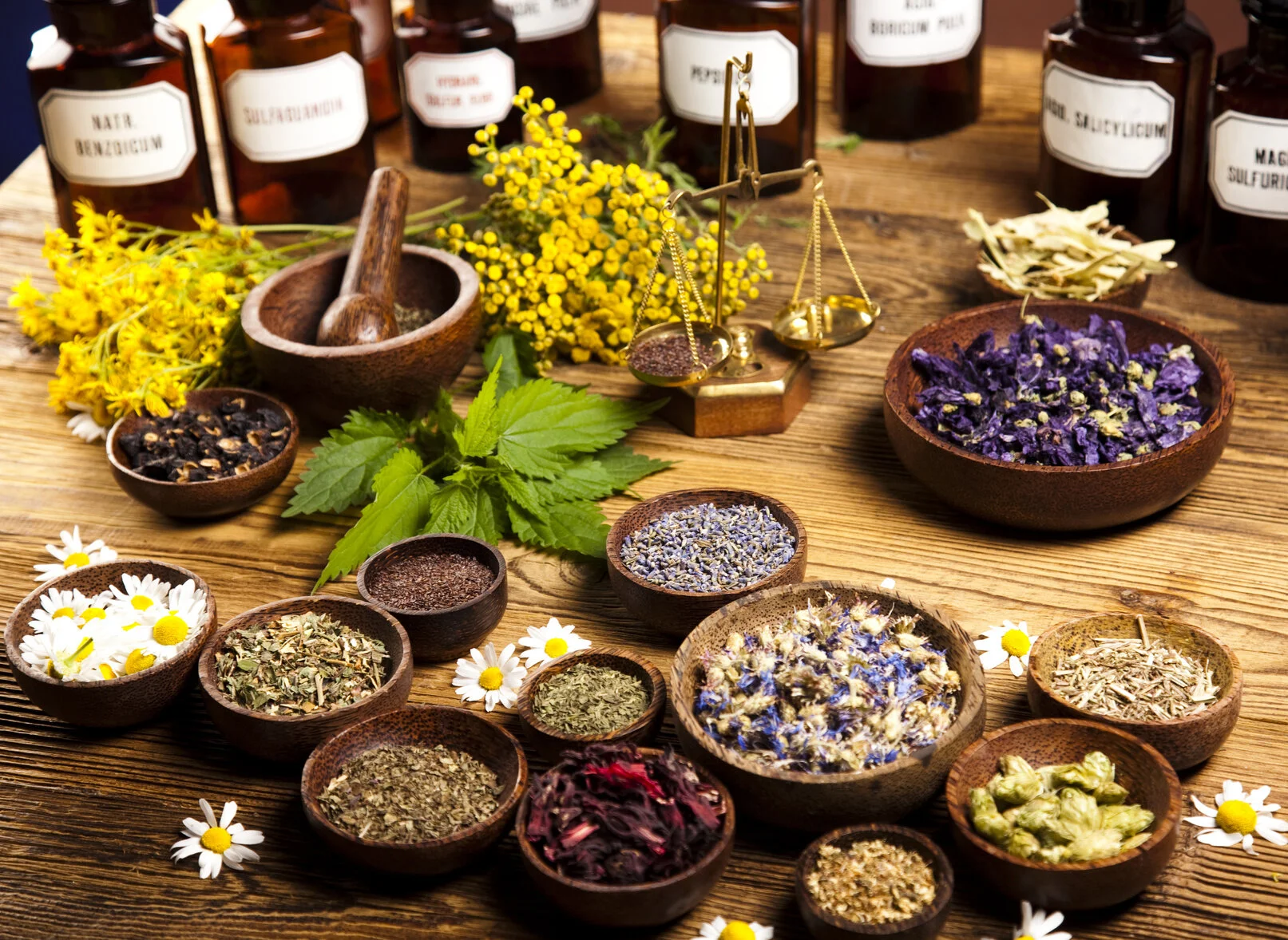 Fotolia_69582984_Subscription_Monthly_M.jpg