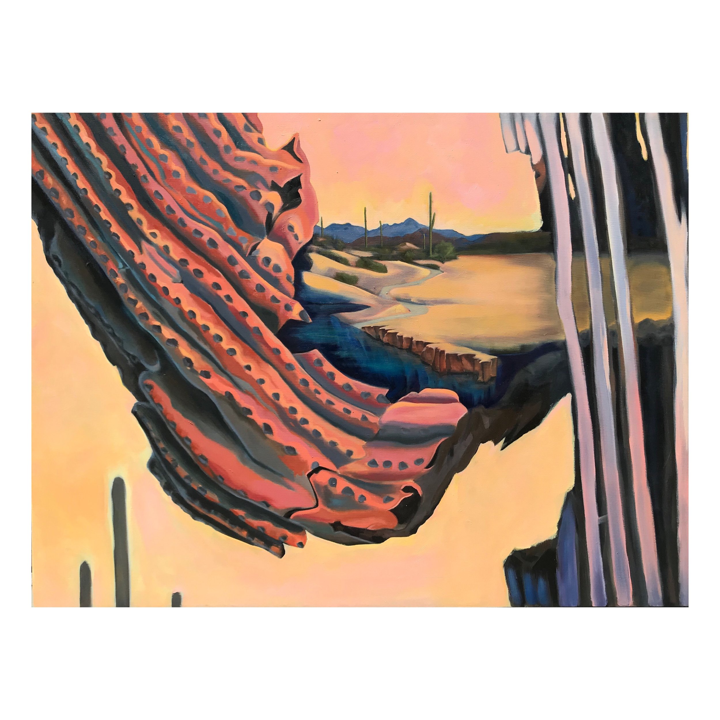 "Saguaro Biography 1" 