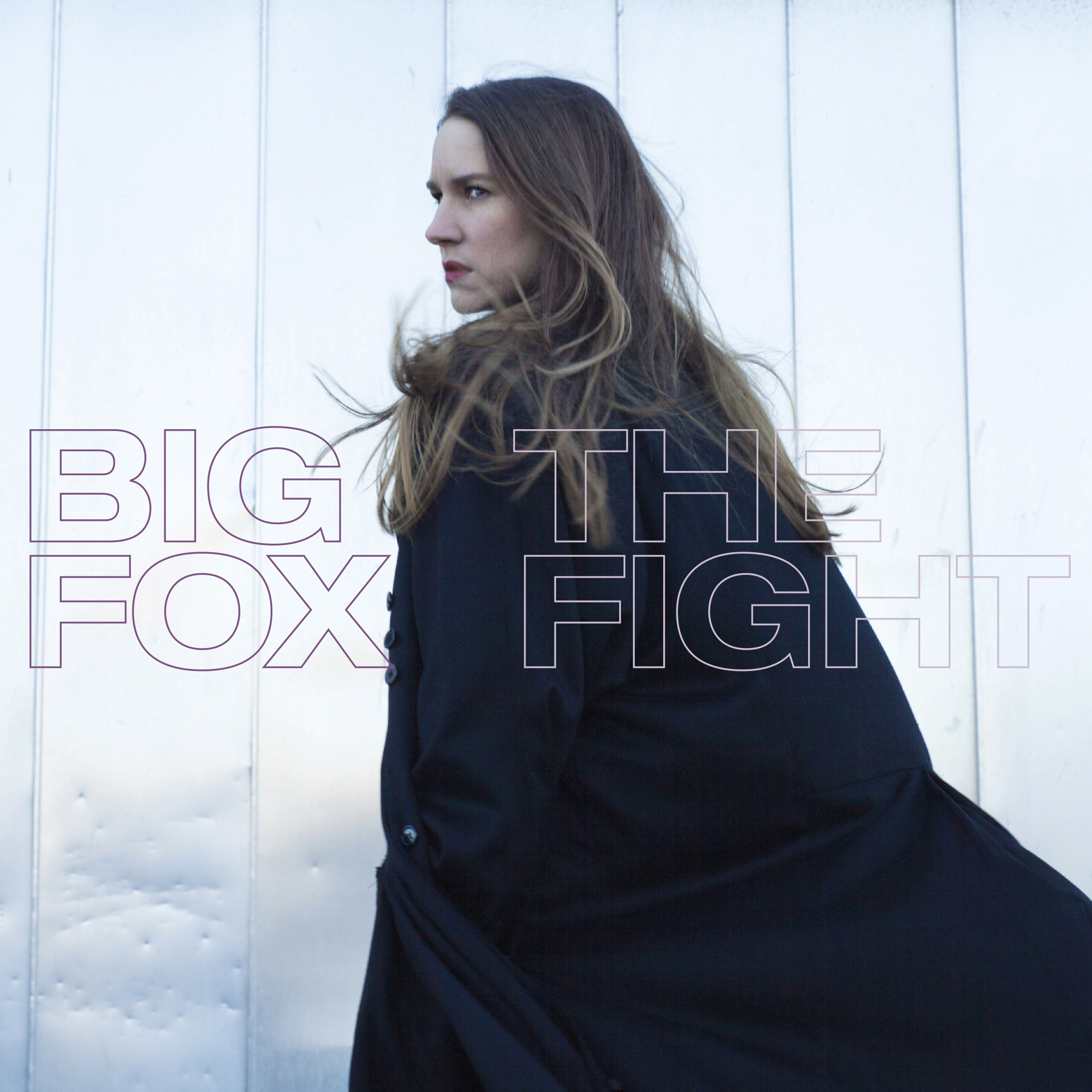 BigFox-TheFight-Cover_highres.jpg