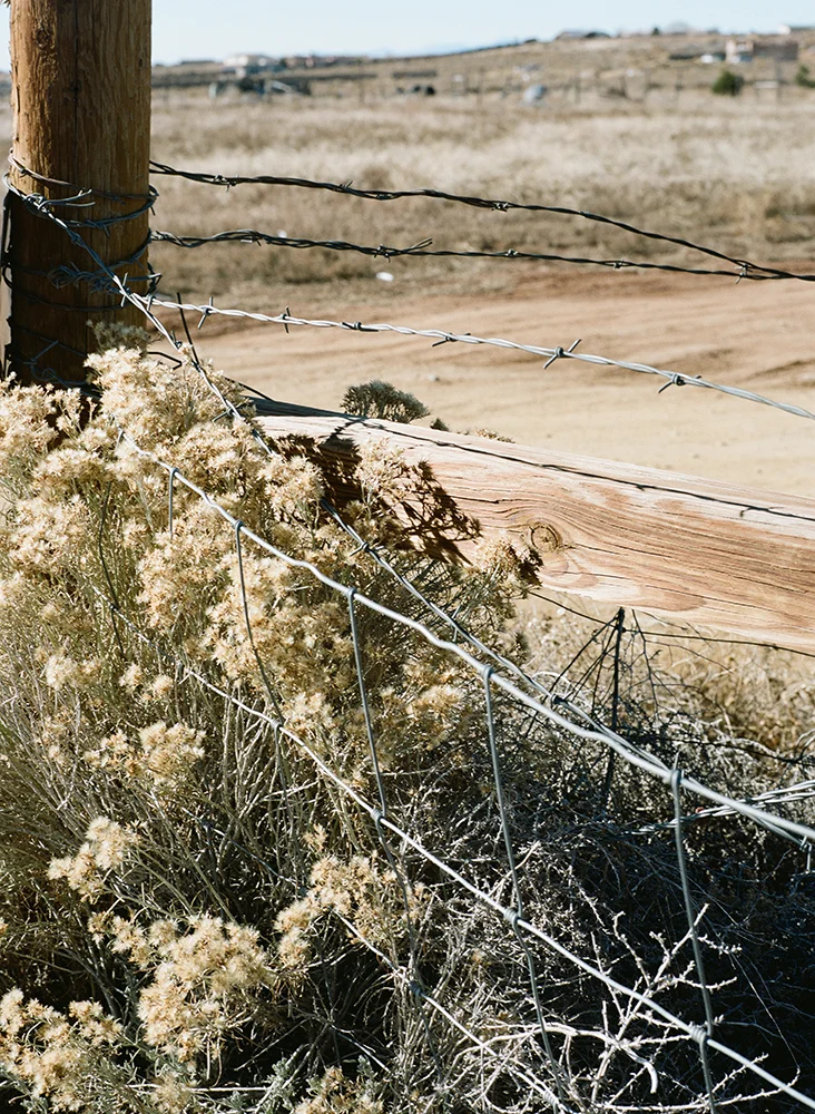 01_000001380003.jpg