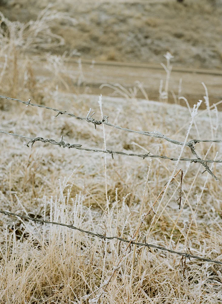 06_000091630016_web.jpg