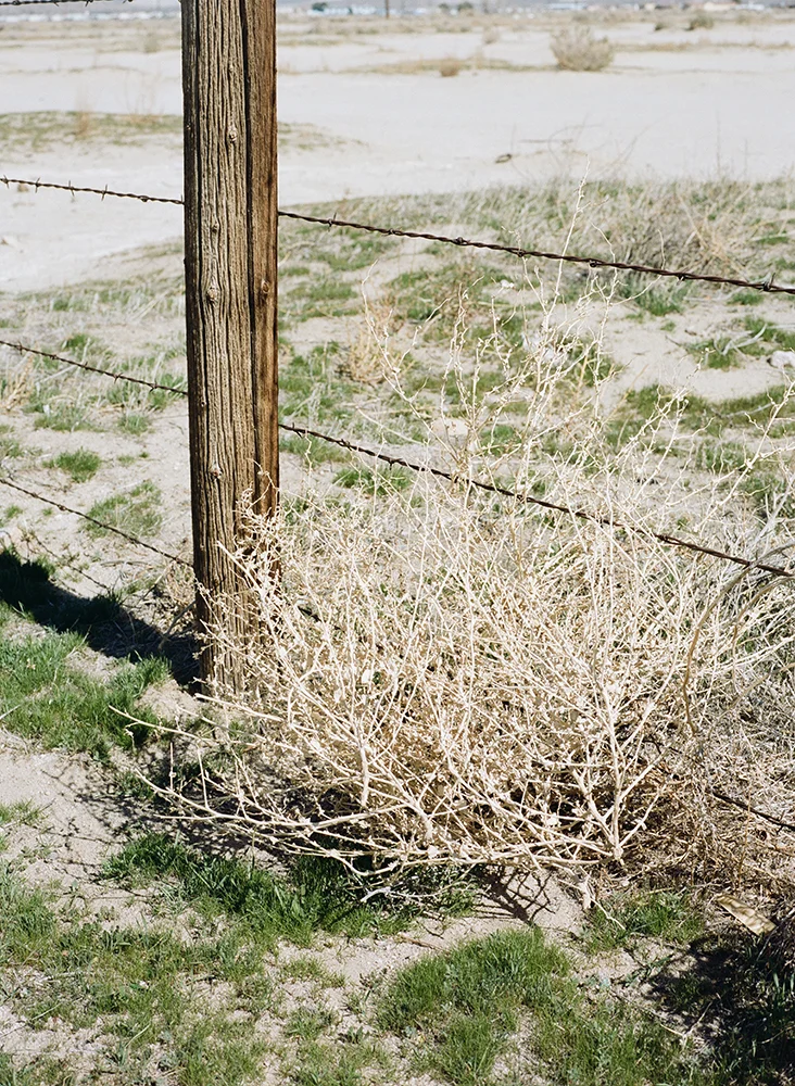 12_000016840012.jpg
