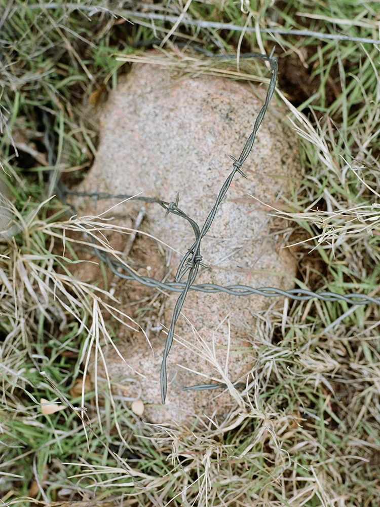37_000091650003_web.jpg