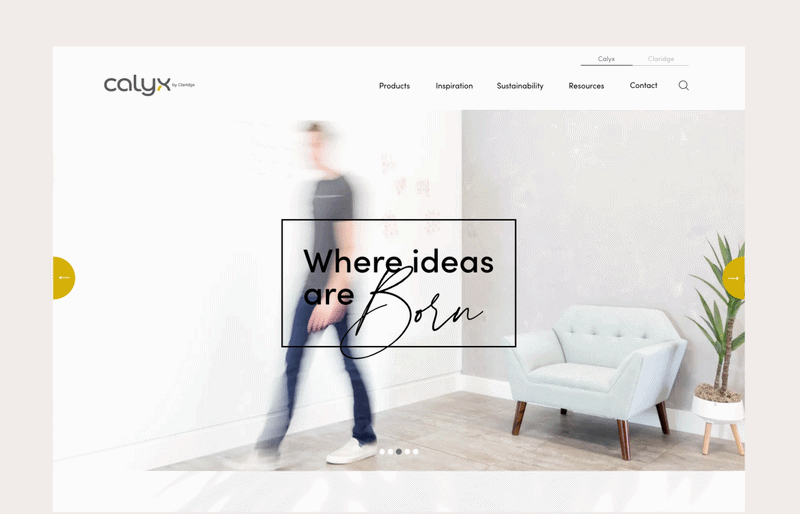 Calyx Identity