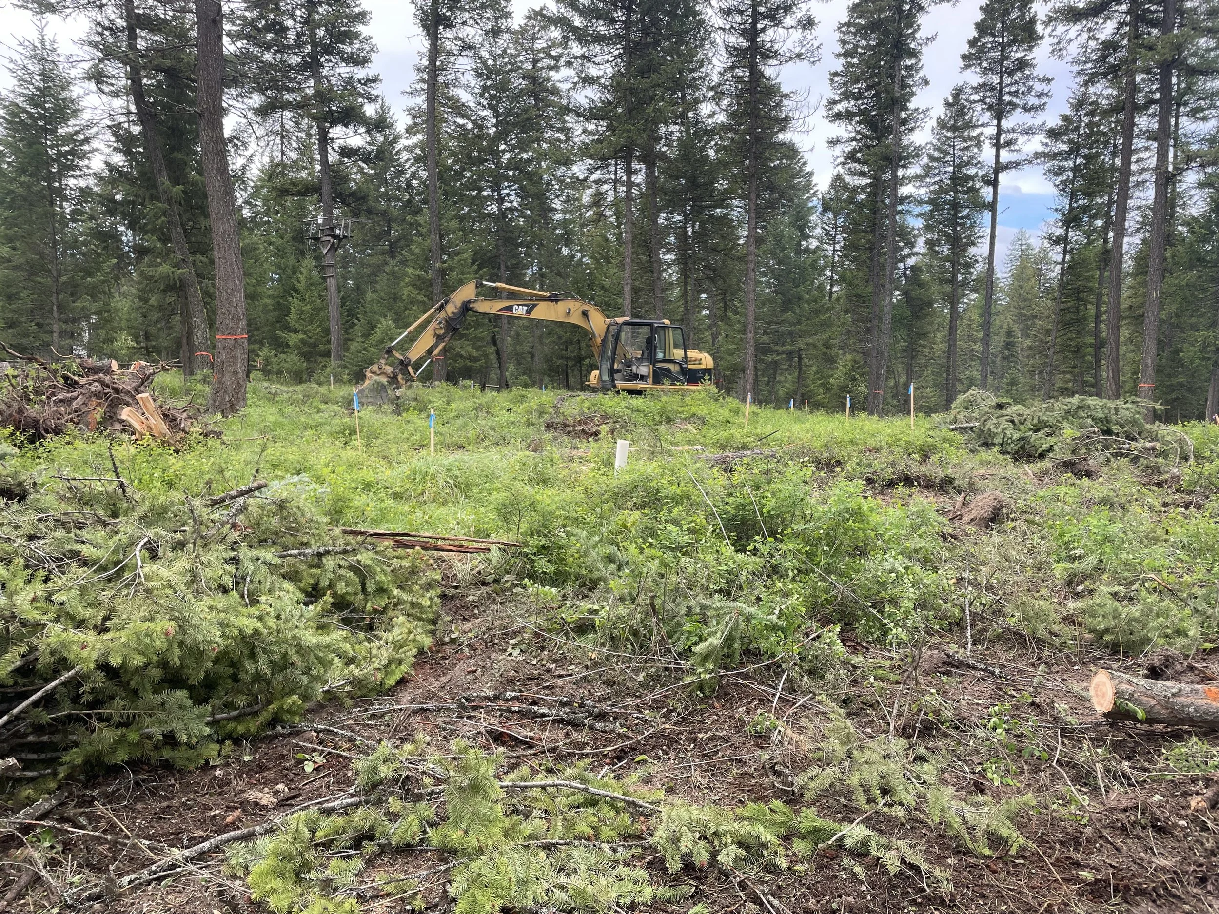 Construction Photos Whitefish Hills Village — Wood Roots Construction