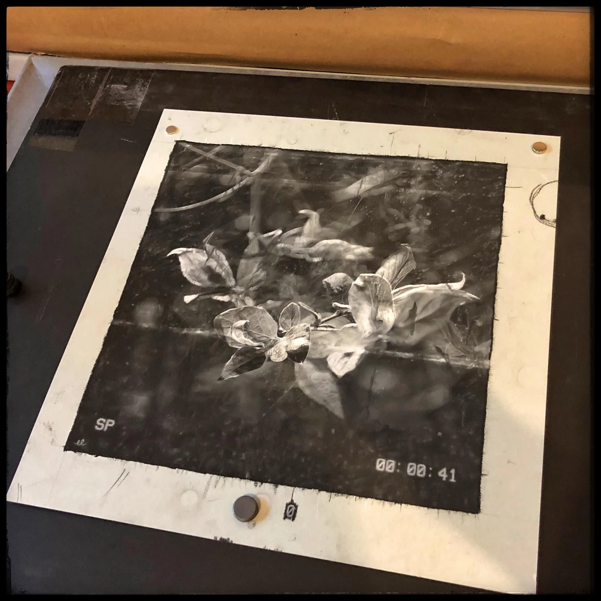 Picture of "41" prior to framing