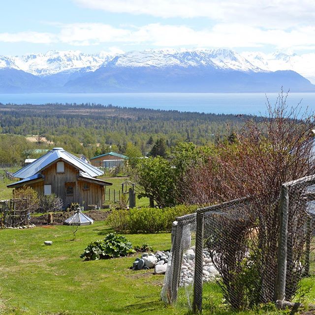 Dean family farm tour. What a great view, what a great place, what great art, what great people! Check them out if you're in town #alaska #homeralaska 
#outdoors #liveyourbestlife #landscape #pretty #mountains #optoutside #love #behappy #hashtag #hip