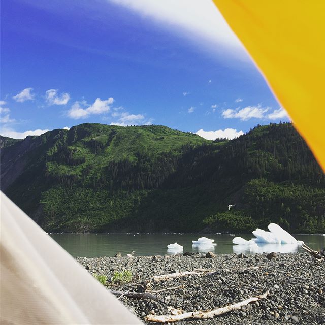 When you wake up with this view, you're in the right place... Take a day or a week, but Grewingk Glacier in #kachemakbaystatepark is a must see! .
.
.
.
#halibutcove #alaska #glacier #nopebblemine #sharingalaska #naturalalaska #leavenotrace #kachemak