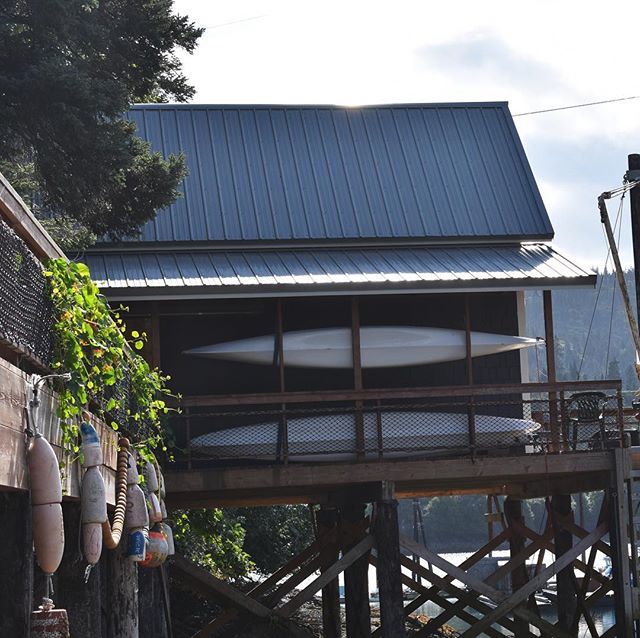 Missing our dock and skiff gardens at the halibut cove house. #halibutcove #alaska #kachemackbay #latergram .
.
.
.
#alaskagardens #alaskagardening #alaskan #myalaskadream #sharingalaska #kayaking #kayakingfishing #kayakadventure #neverstopexploring 