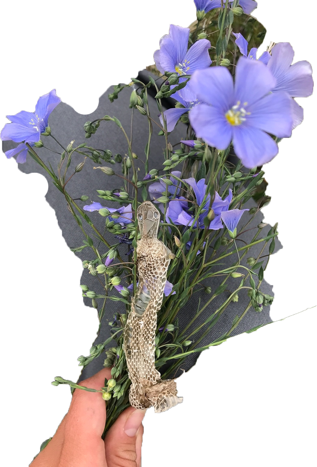 Untitled-5.png