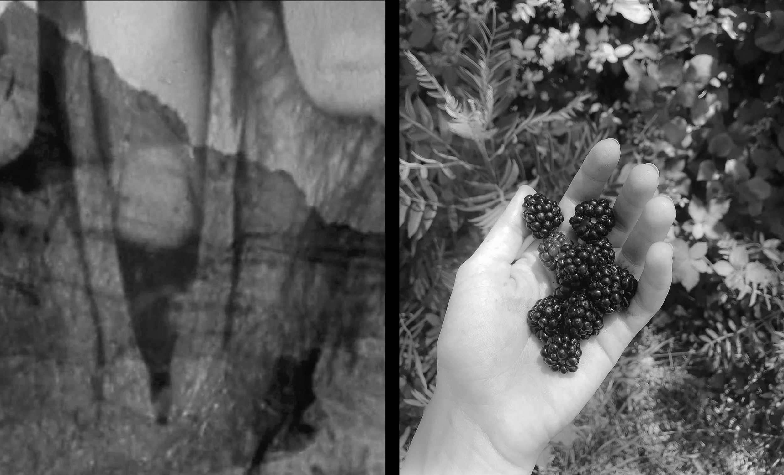 berry.jpg