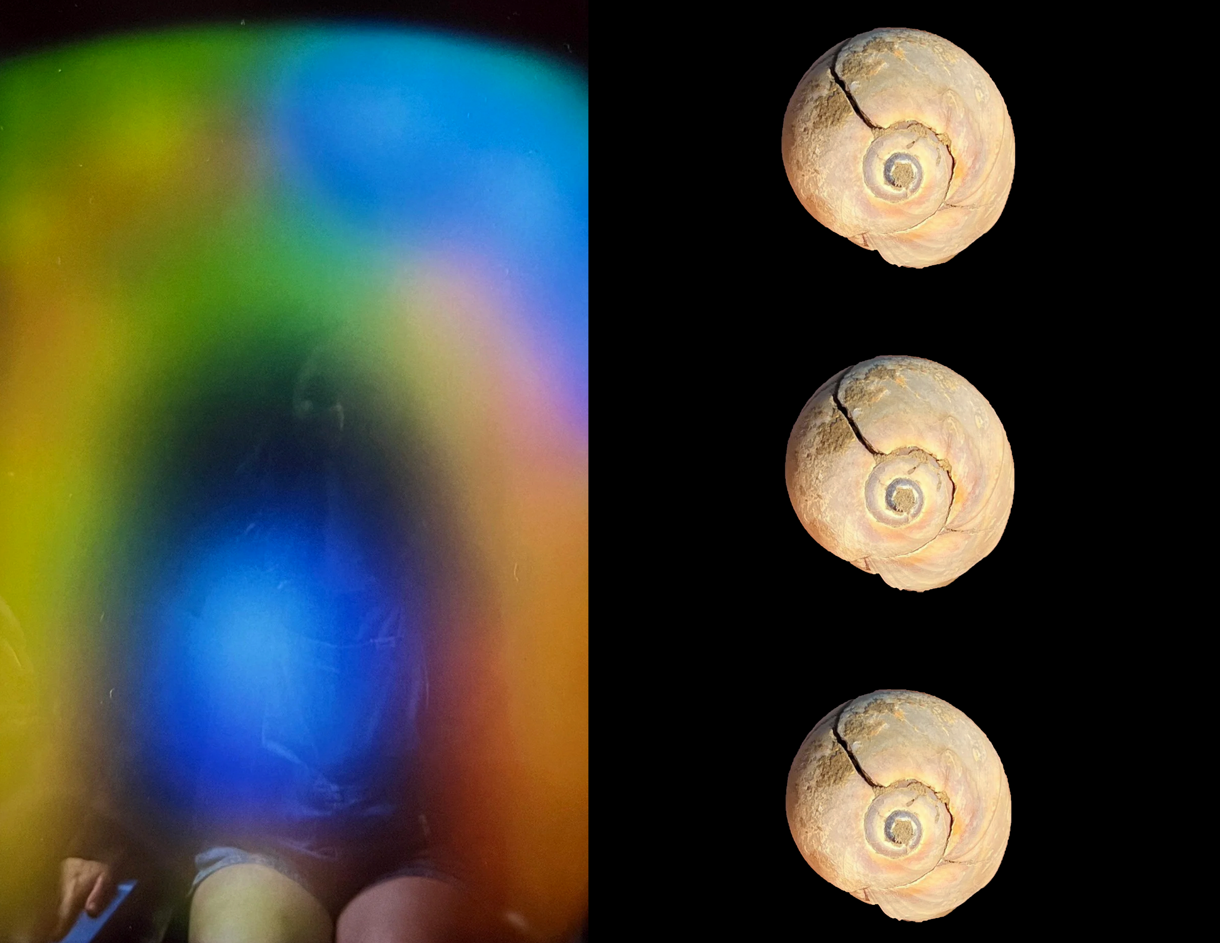 shell aura 2.png