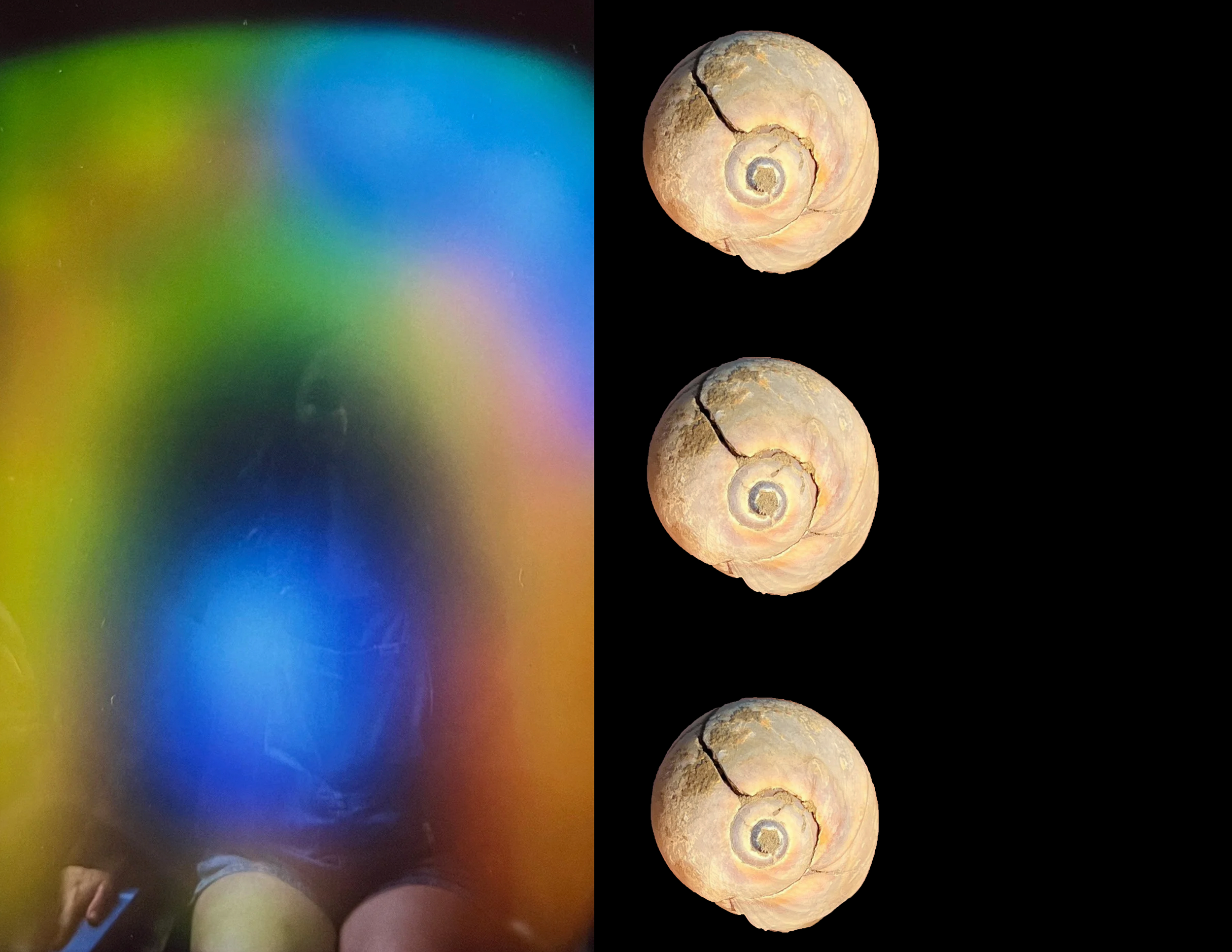 shell aura.png