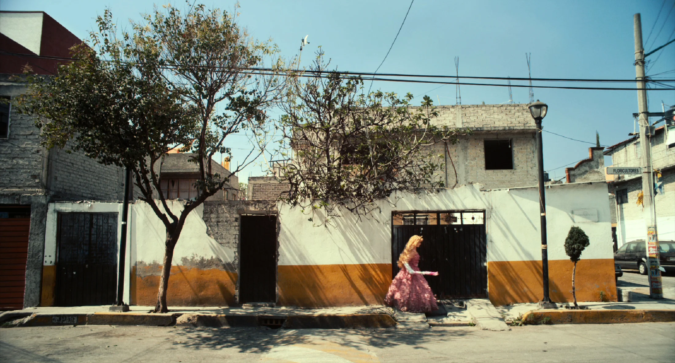 dud_hd_st_5_1-17 copy.jpg