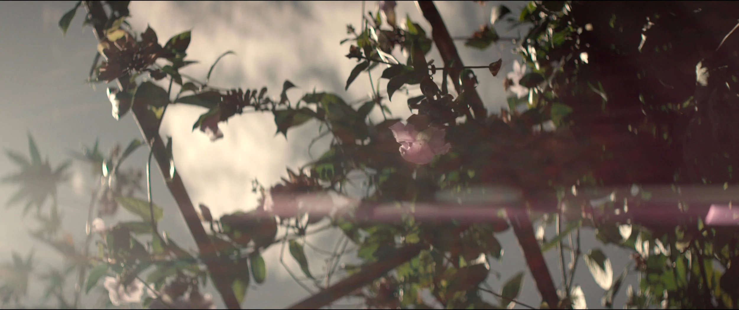 Happiness2K_8 copy.jpg