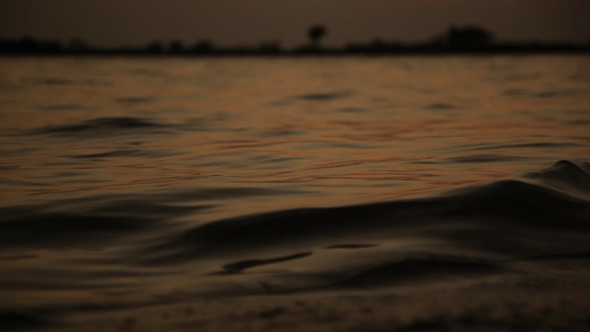 EnMedioDelAgua8'-10 copy.jpg
