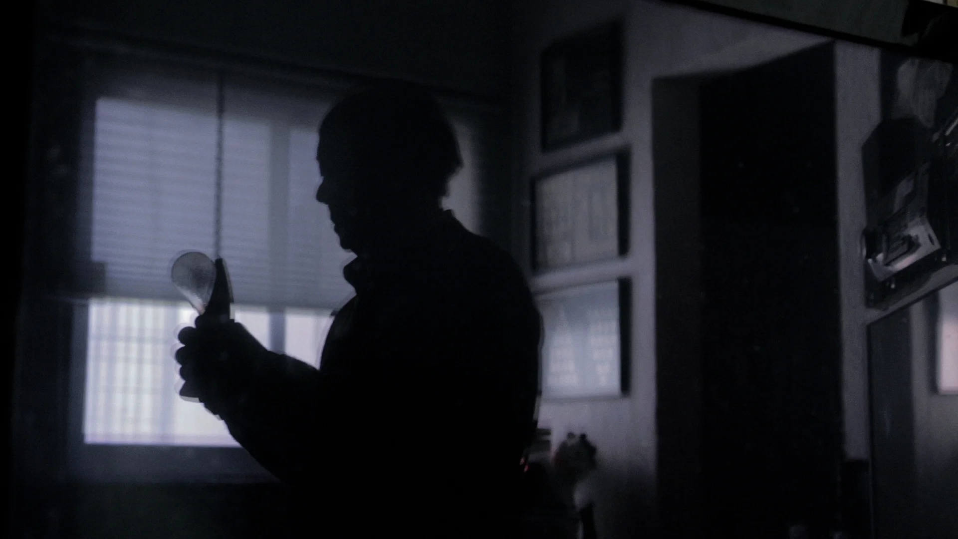 Metinides_X copy.jpg