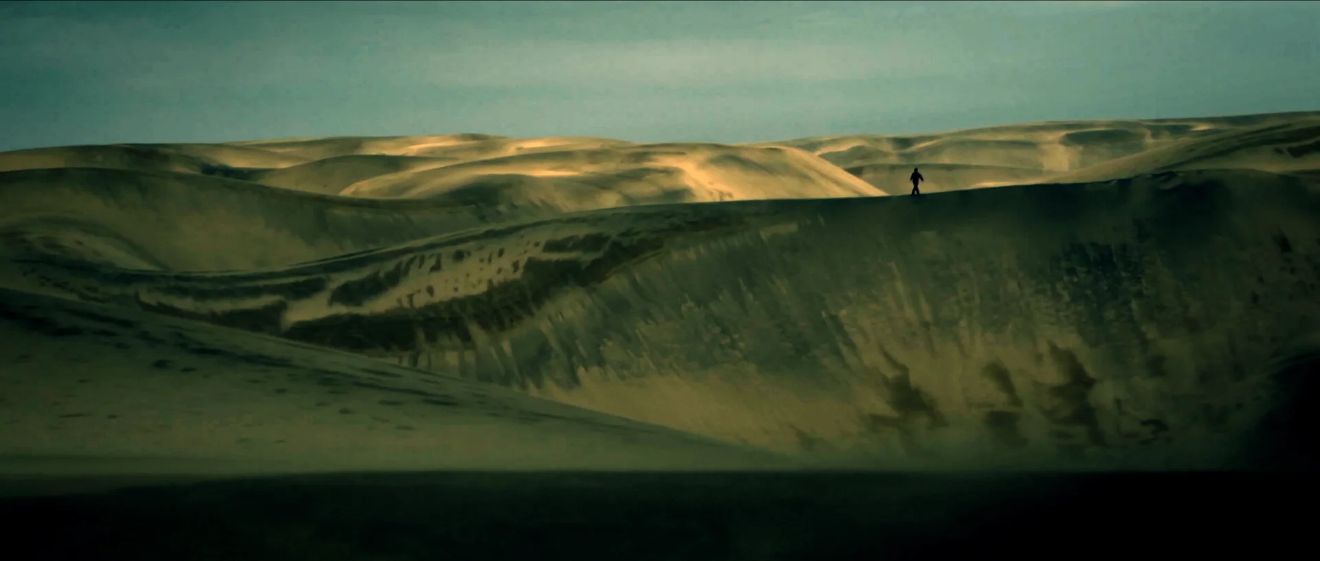 Viajero Eventual_6 copy.jpg