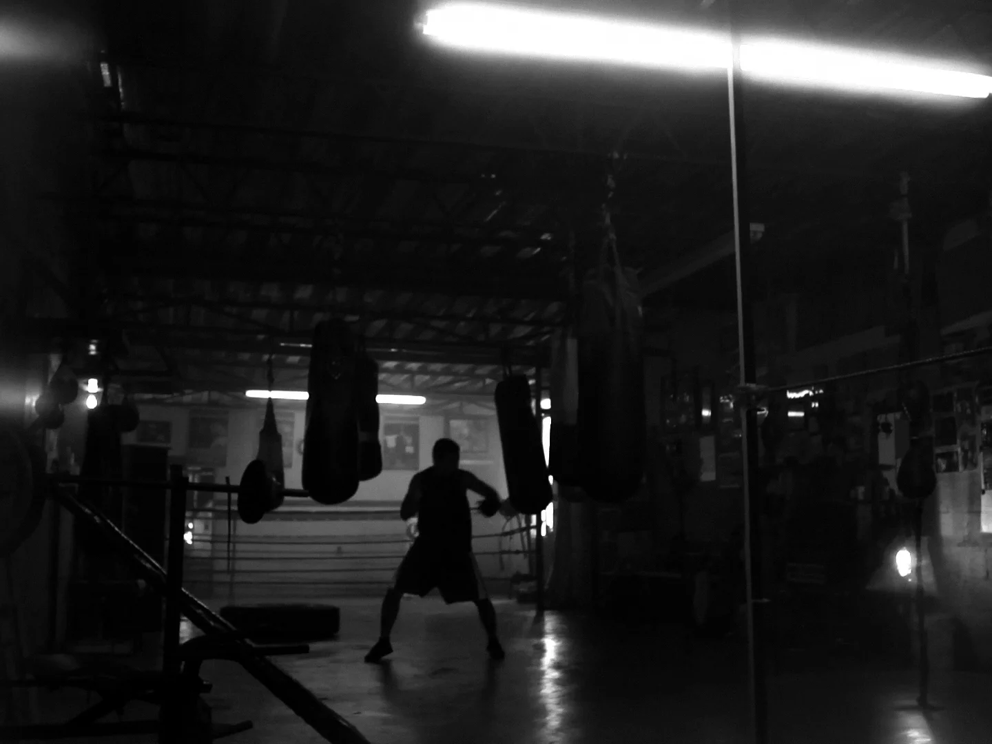 Pajarito teaser2 copy.jpg