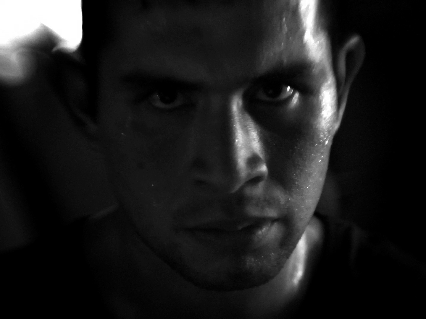 Pajarito teaser4 copy.jpg