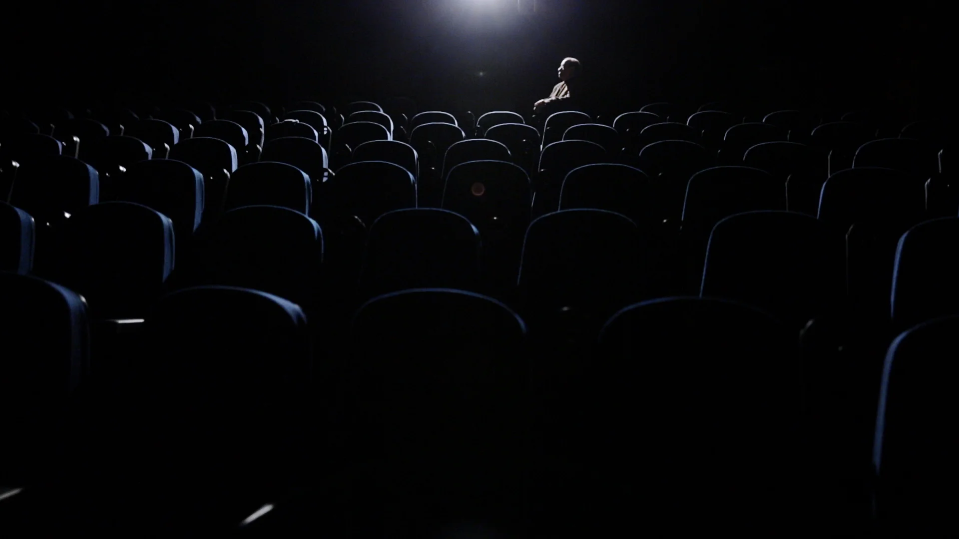 Metinides_2 copy.jpg