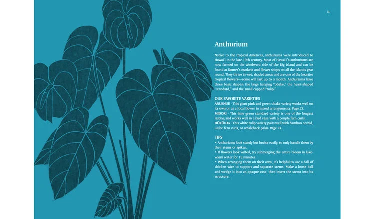 anturium.jpg