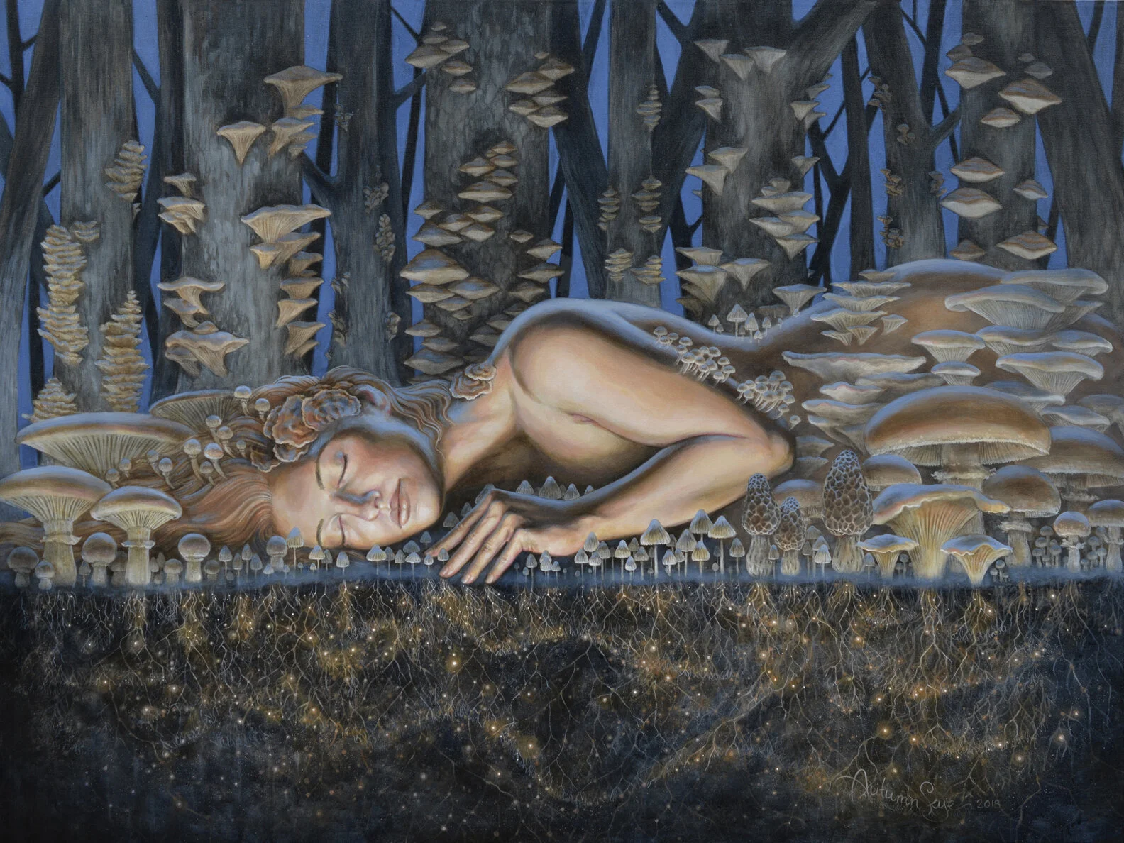 Mycelium Dreaming WEB.jpg