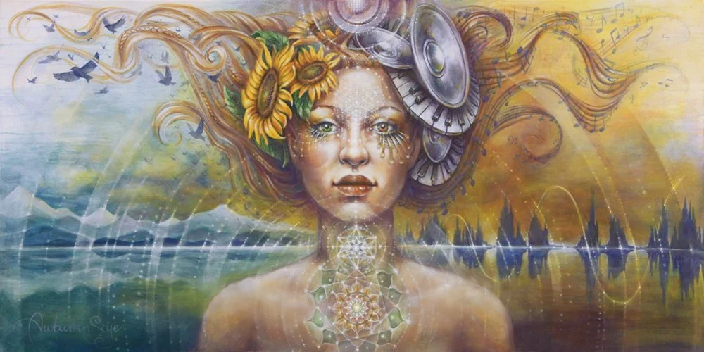 HarmonicTransformation WEB new.jpg