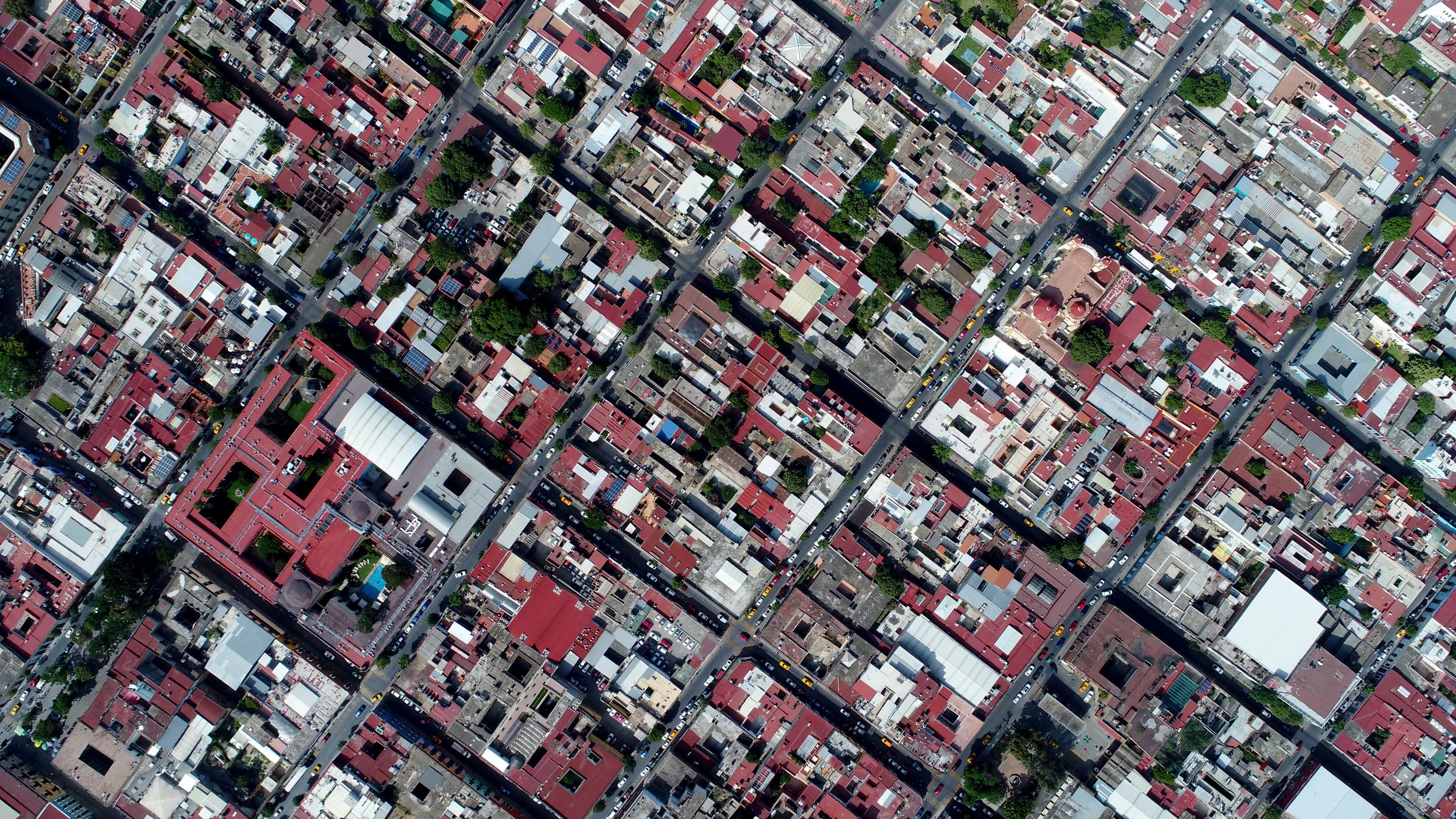 Oaxaca Close Angled.jpg