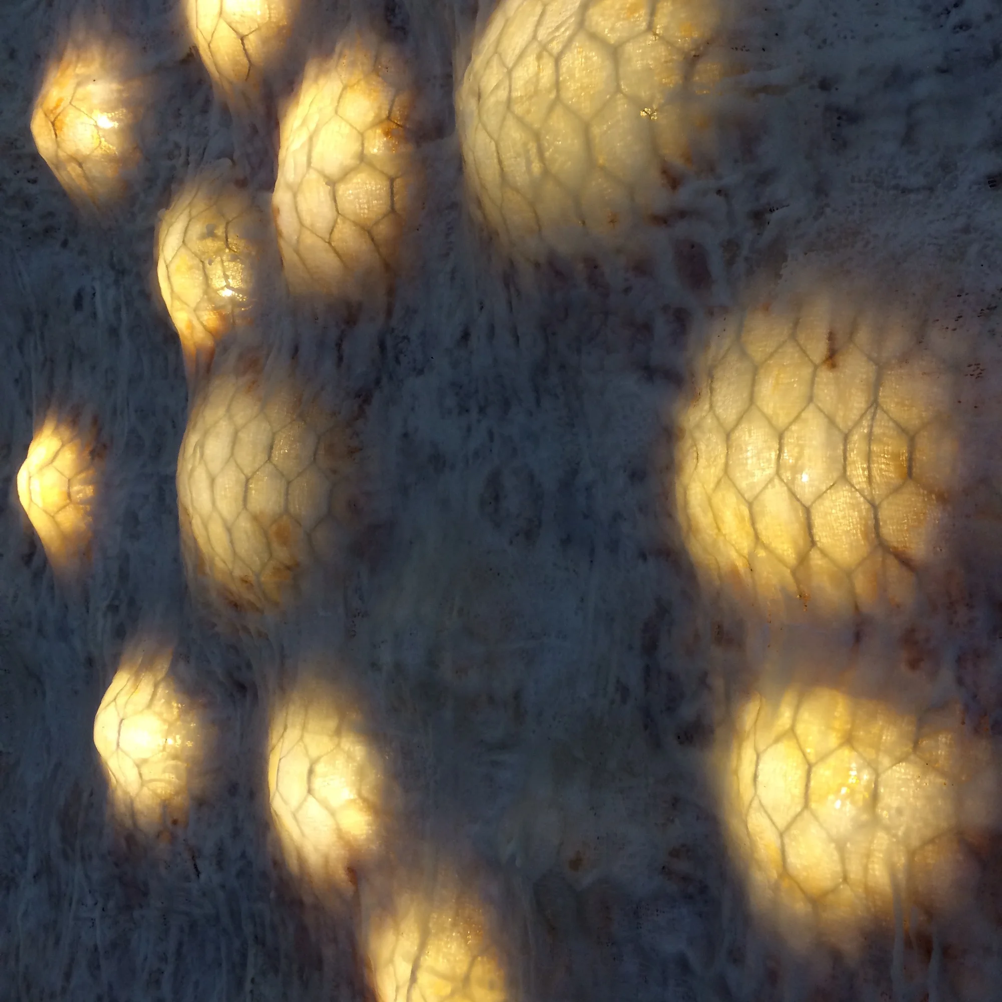  [detail,  illuminated]  Chicken wire, cheesecloth, shellac, and beeswax.  48 x 48 inches  2017 