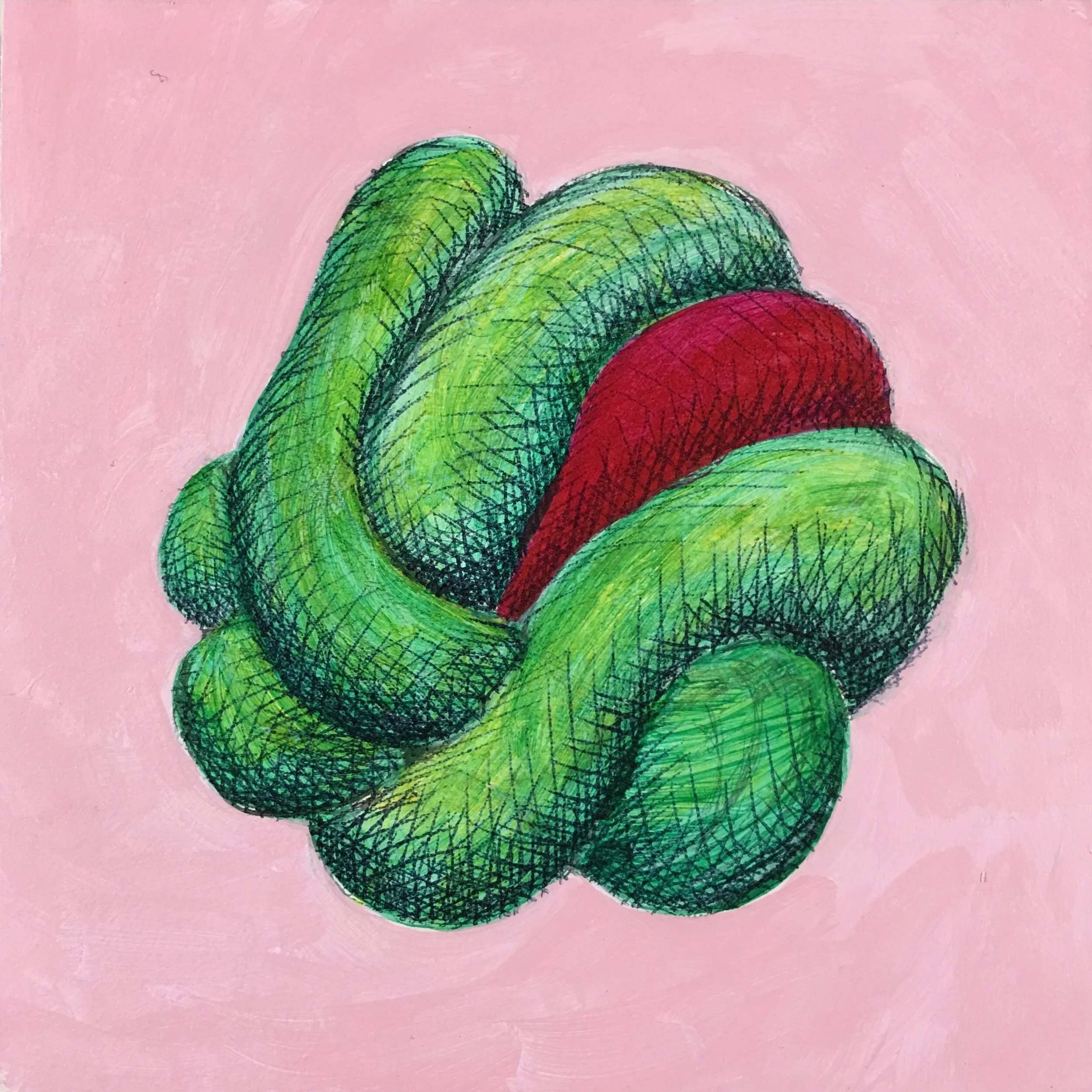 Boa Constrictor