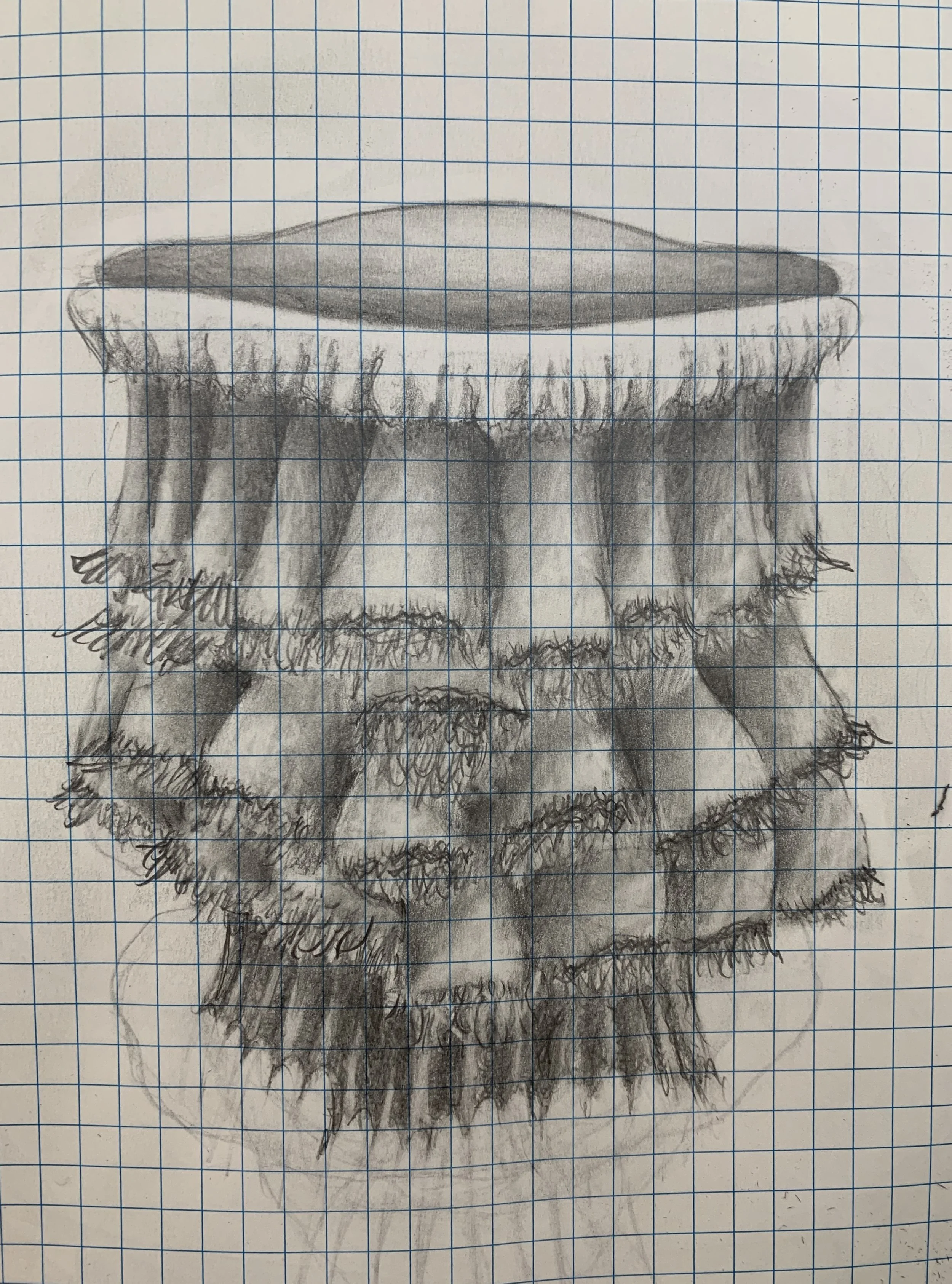 sketch of ‘harbinger’