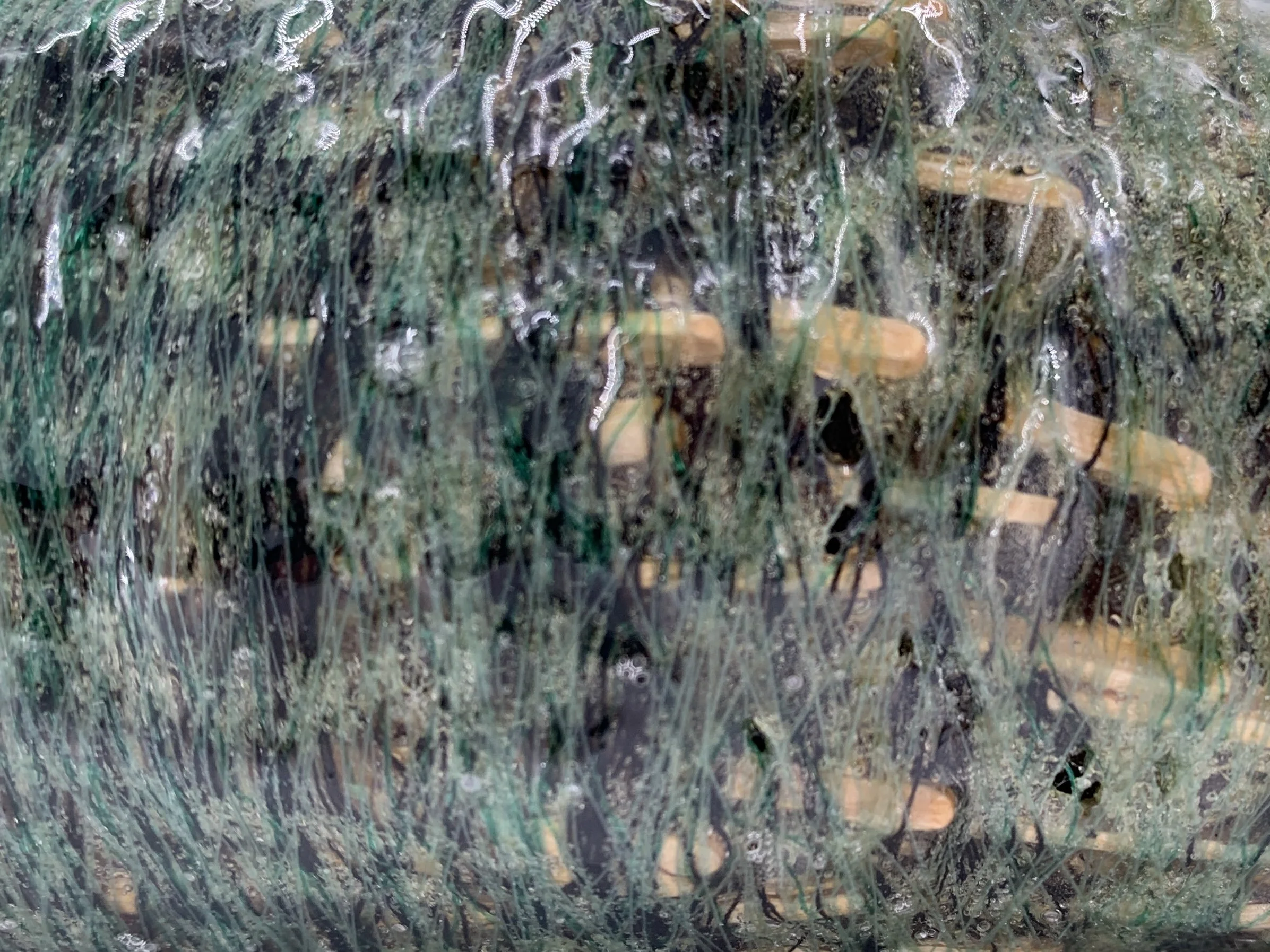 image4_lanier_within_detail.jpg