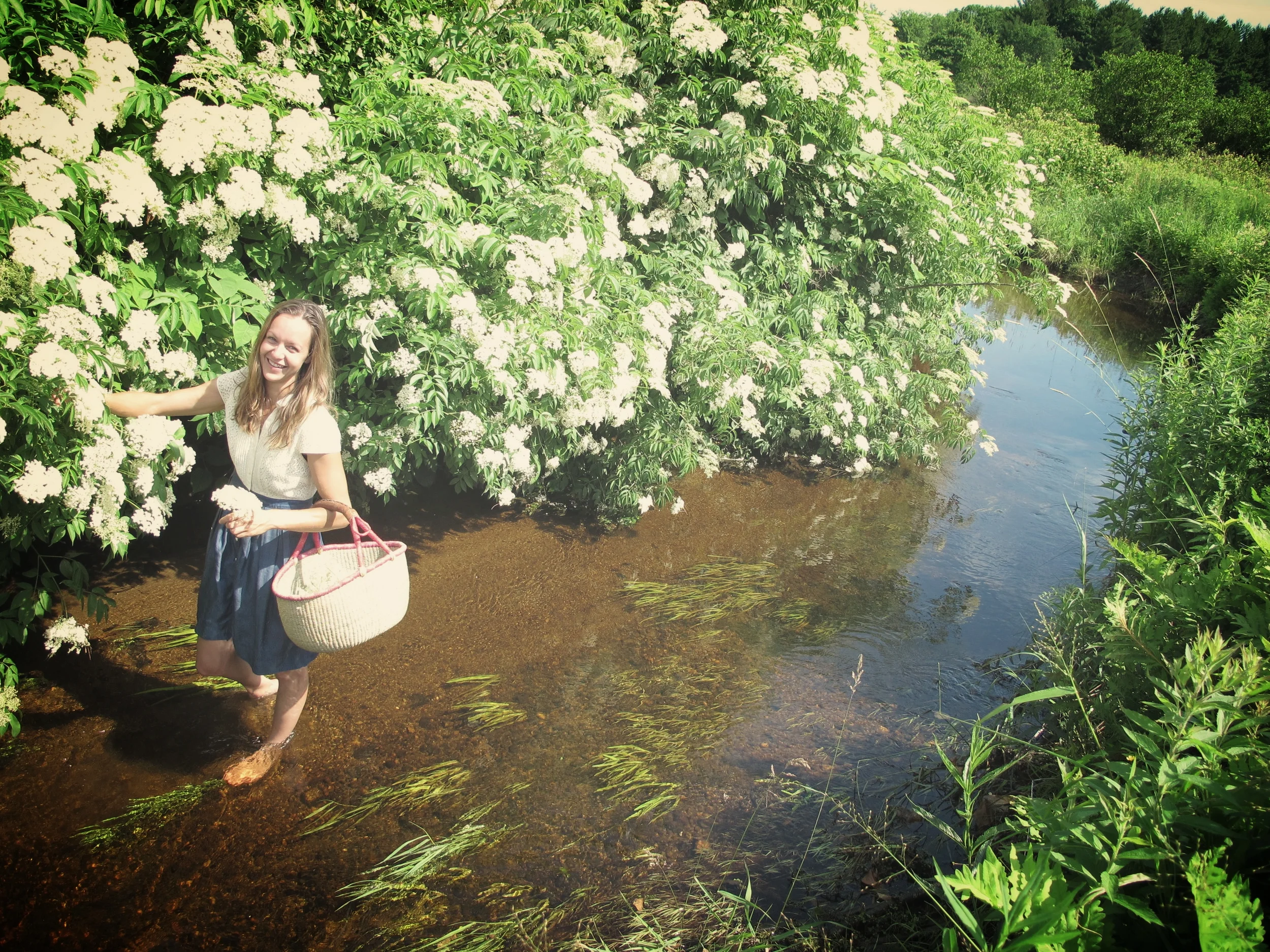 Meet your herbalist 3.JPG