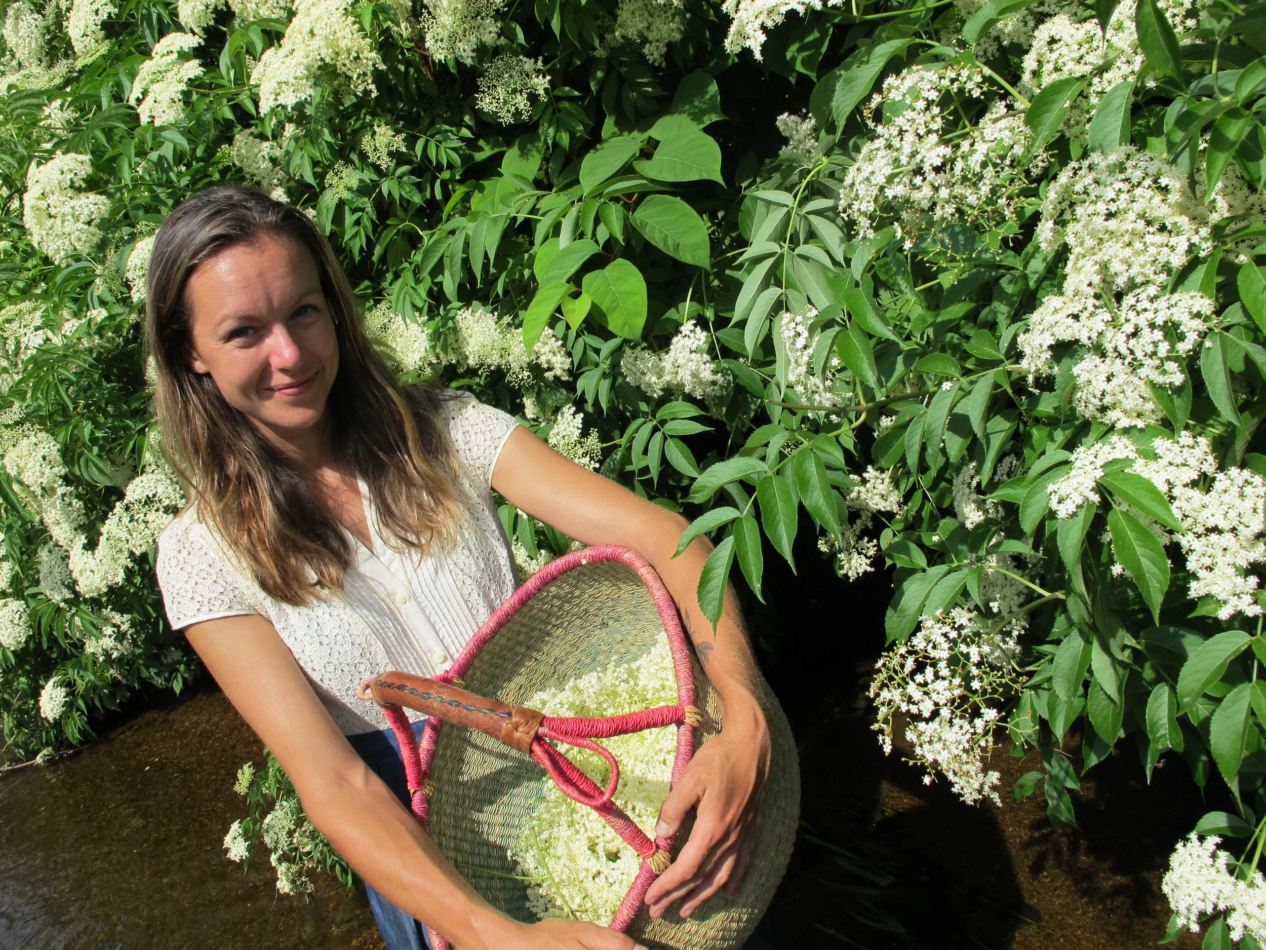 Meet your herbalist2.JPG